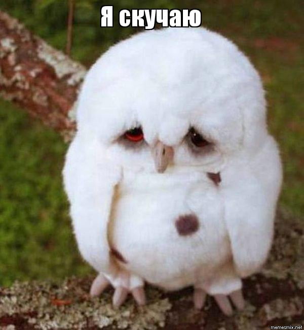 Красивые картинки для любимой жены скучаю. Картинки я скучаю по тебе любимая.