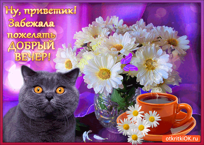 Открытки Добрый вечер женщине. Открытки Добрый вечер. Открытки Добрый вечер з...