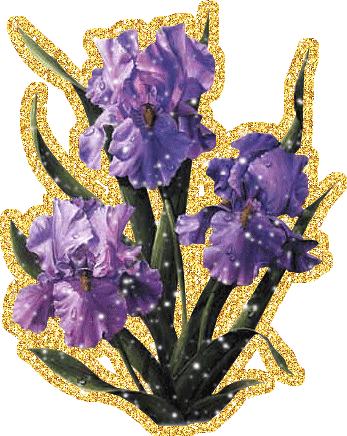 Красивые фото ирисов. Ирисы фото на рабочий стол. Картинки цветов ириса.