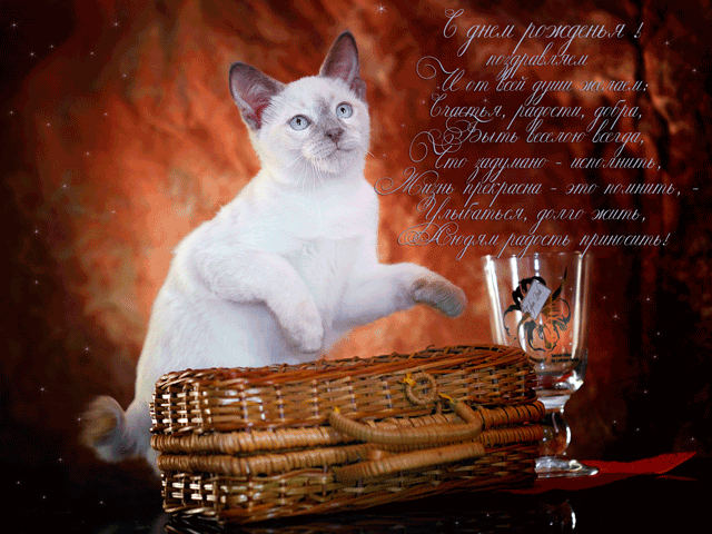 Открытки с кошками Доброе утро. Открытки с кошками Спокойной ночи открытки с ...