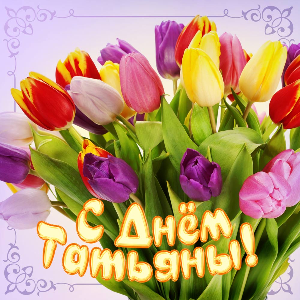 Картинка Татьянин день скачать. Картинки на Татьянин день.  