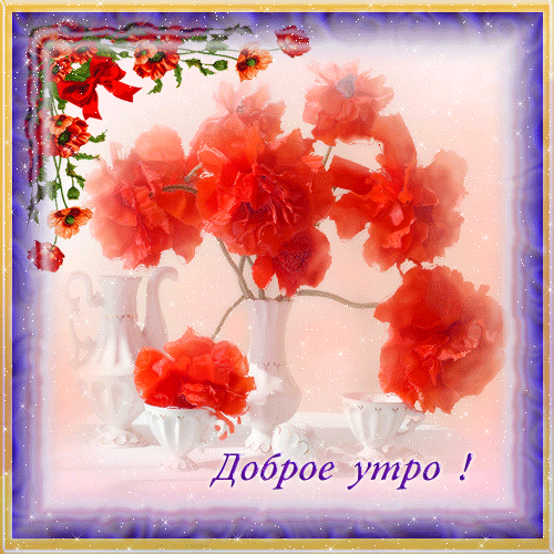 Открытка Поздравляю с нарисованными красными маками.  Векторная картинка крас...