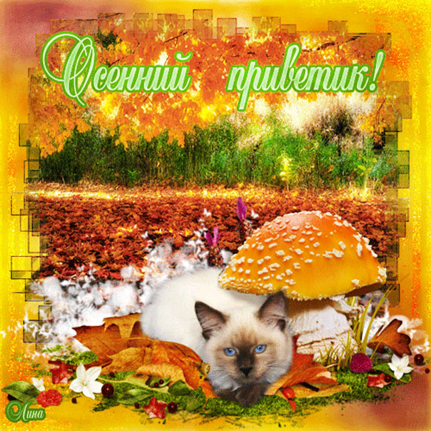 Прикольные открытки на каждый день. Картинки Привет прикольные. 