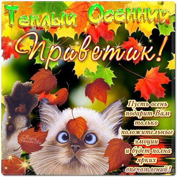 Прикольные открытки на каждый день. Картинки Привет прикольные. 