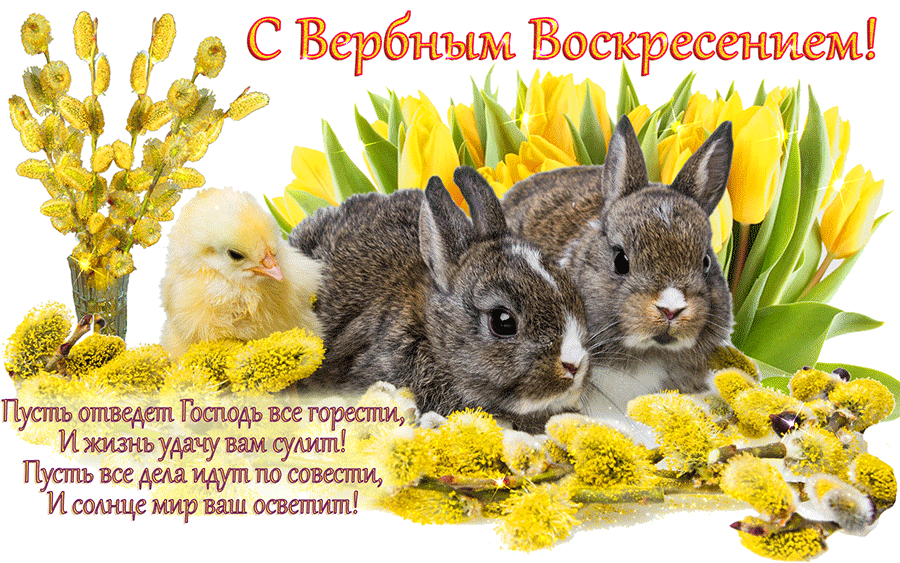 Открытка с пожеланиями здоровья, счастья, достатка, любви на наступающее Верб...