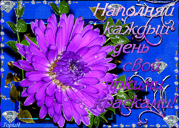 Открытка Астры для тебя. Ретро открытка С Днём рождения С астрами.