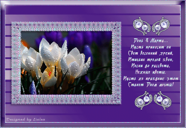 Открытка С Днём рождения С белым крокусом и фиолетовыми прожилками.