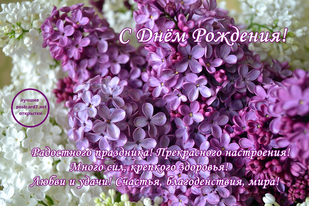 Открытка С Днём рождения С сиренью. Открытка на 1 Мая с сиренью.