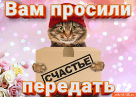 Открытка говори себе С утра счастье нам вставать пора! Как открытка гиф анима...