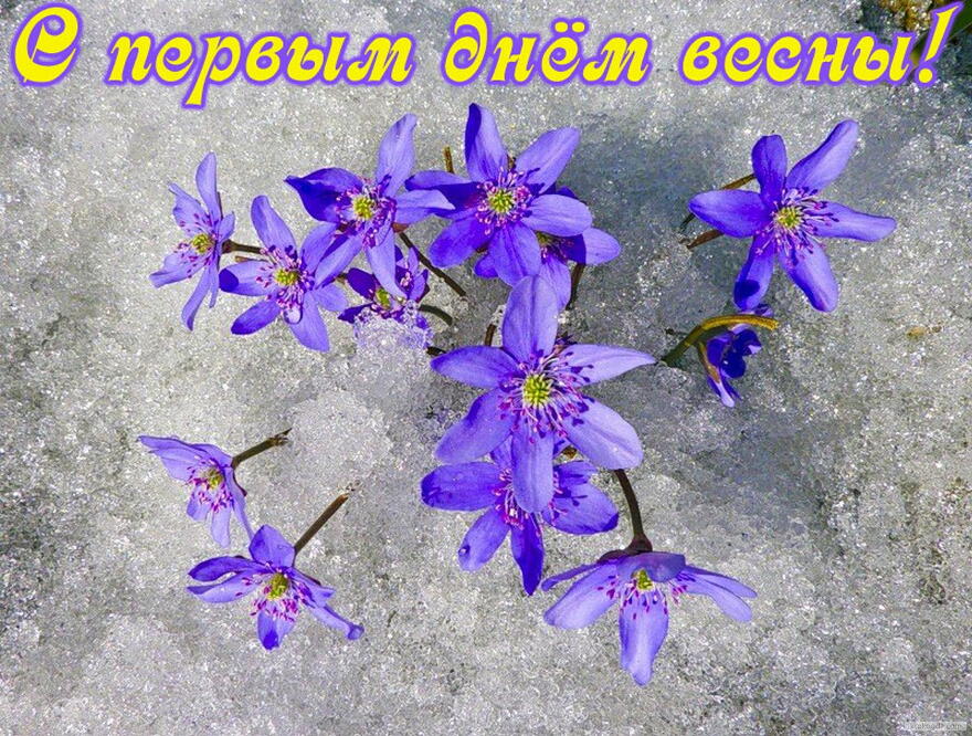 Открытки С первым днем весны для мужчин. Открытки С первым днем весны для фор...