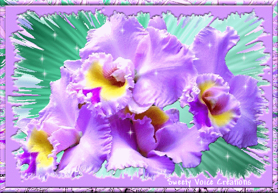 Картинка ирисами. Открытки с ирисами. Открытки С ирисами С днём рождения.