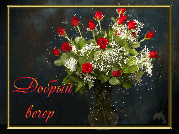 Картинка с красными розами. Живые розы фото. Шикарные розы фото.