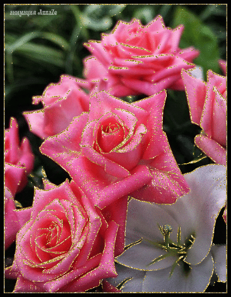 Стильные открытки С днём рождения с розовыми розами. Открытка с днём рождения...