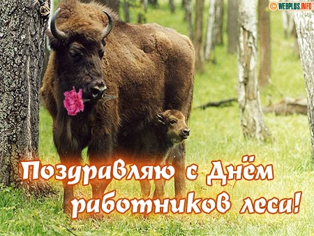 С праздником работники лиса! открытки с берёзками на День работников леса.