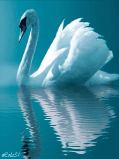 Открытки с Днём свадьбы лебеди. Открытка С Днём рождения С лебедями.