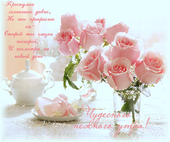 Картинки Розовые розы с днём рождения. Открытки цветы Розовые розы.