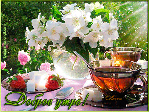 Открытка Доброе утро С чашечкой чая и букетом жасмина стеклянной вазе.
