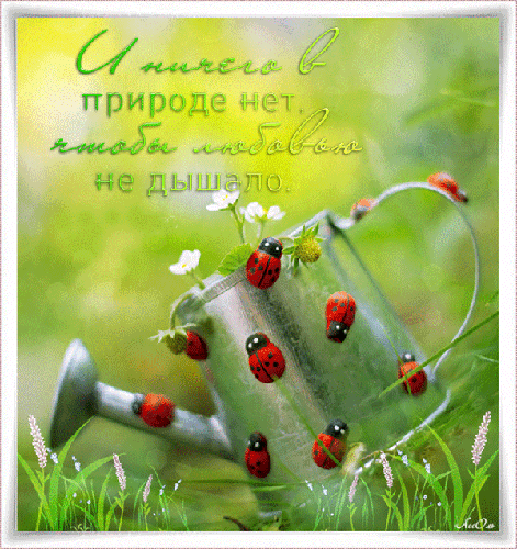 Смешные картинки Скоро лето. Хочу на море смешные картинки. 