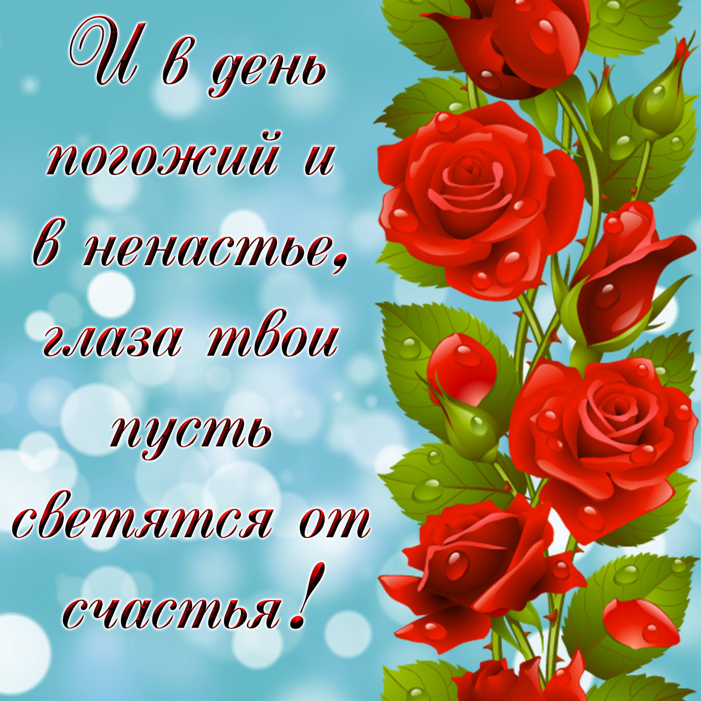 Красивые розы фото. Картинки розы красные. Розы фото скачать.