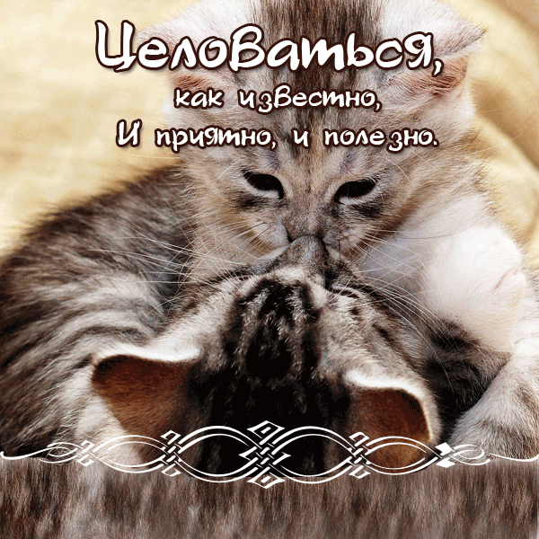 Открытка шлю тебе Приветик и поцелуйчики! Открытка Лови воздушный поцелуй!