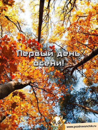 Поздравительные открытки С первым днём осени. Красивые открытки С первым днём...