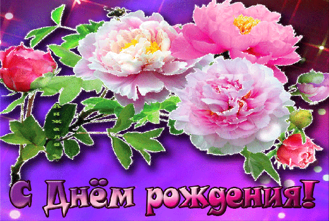 Нарисованные пионы фото. Букеты цветов пионы фото. Красные пионы на заставку.