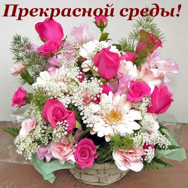 Удачной среды картинки. Картинки про среду для WhatsApp. Открытки со средой б...