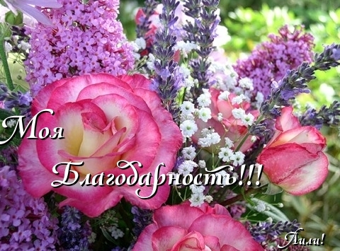 Открытка Сиреневая Нежность, я с корзиной цветов сирени Сиреневый и голубой.