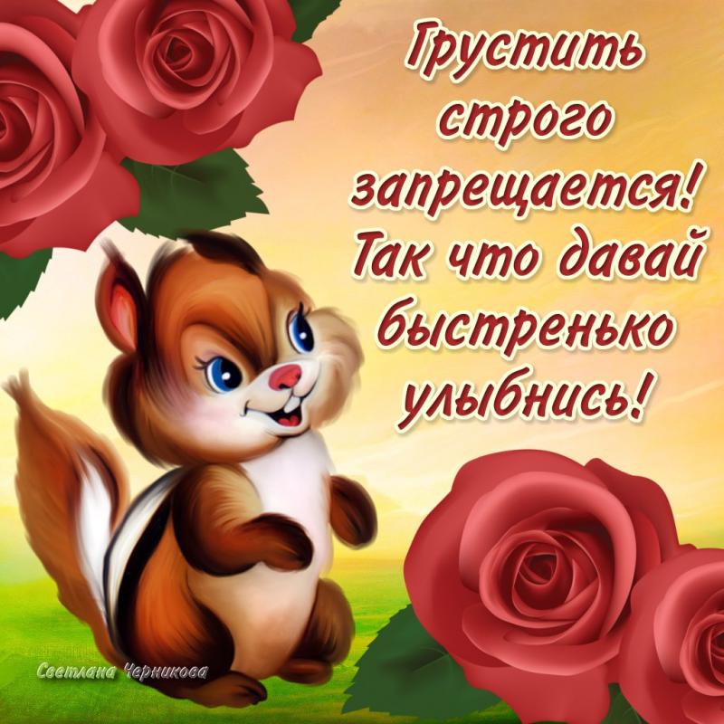 Открытки Не грусти скачать. Открытки Не грусти любимая. Открытки Не грусти друг.