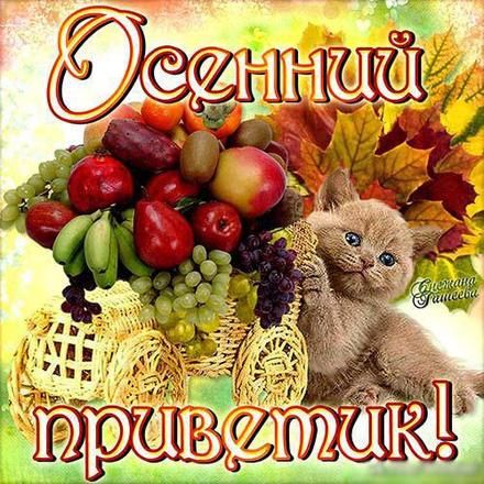 Открытки на каждый день прикольные. Осенний Привет картинки. Открытки кз. Отк...