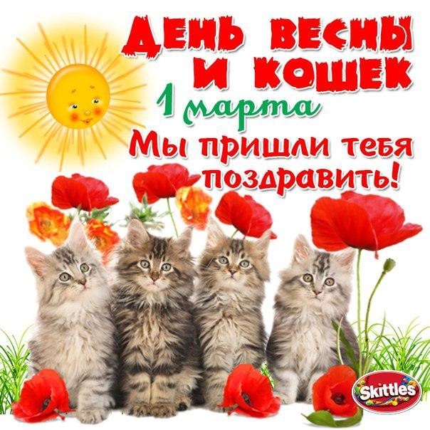 Красивые картинки с днем кошек. Прикольные открытки с Днем кошек.