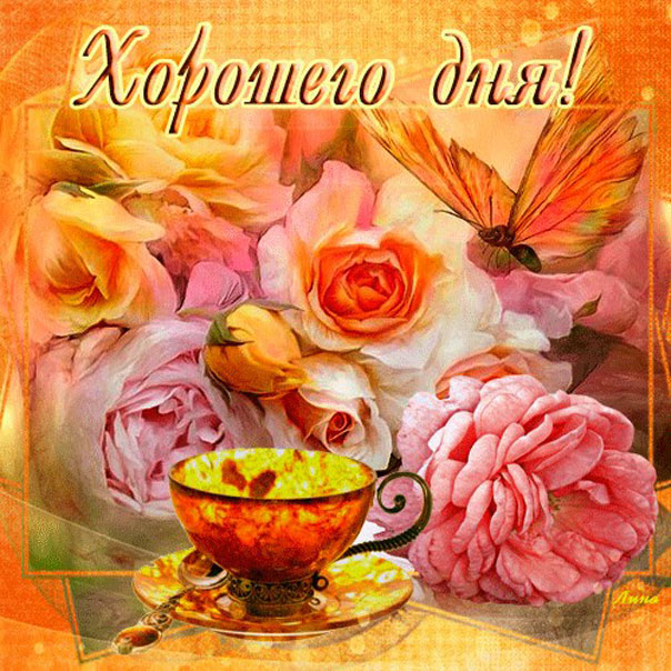 Картинки добрый день скачать бесплатно. Добрый день открытки.