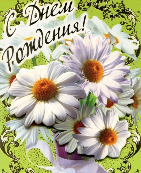 Открытка с днем рождения с ромашками. Открытка с днем рождения женщине с рома...