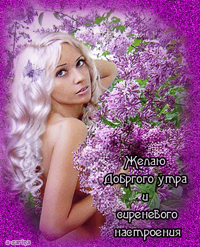 Открытка Пусть удачным будет день, с белыми бабочками порхающий над вазой с С...