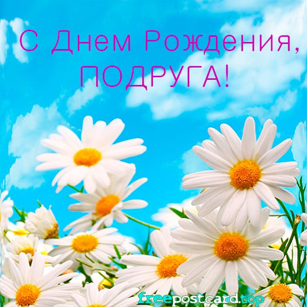 Поздравления с днем рождения женщине ромашки картинки