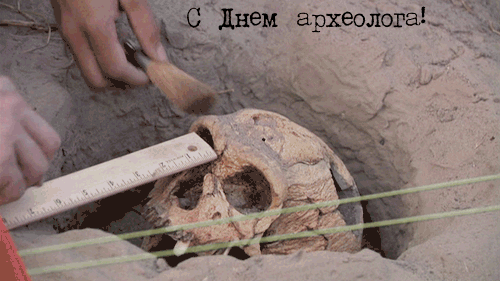 Открытка со скелетом динозавра и букетом красных роз на день археолога.