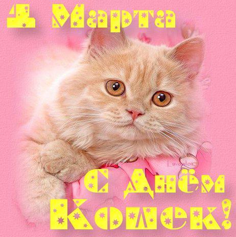 Анимационные открытки с Днем кошек. Прикольные открытки с Днем кошек. 