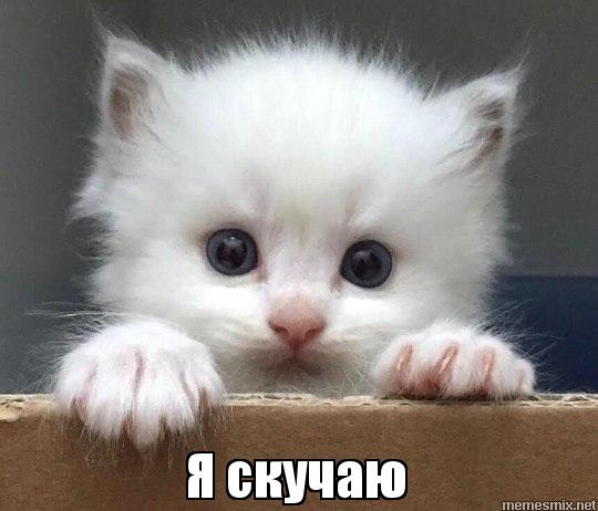 Картинки я скучаю. Картинки я скучаю по тебе. Картинки я скучаю по тебе родной.