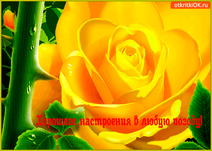 Открытка хорошей погоды на выходные. Открытка про погоду. Открытки про погоду.