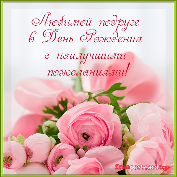 Красивая открытка с пионами. Поздравительная открытка, открытка с белыми пион...