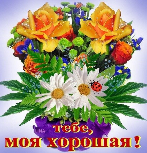 Открытки скачать бесплатно на телефон. Картинки для тебя от души.