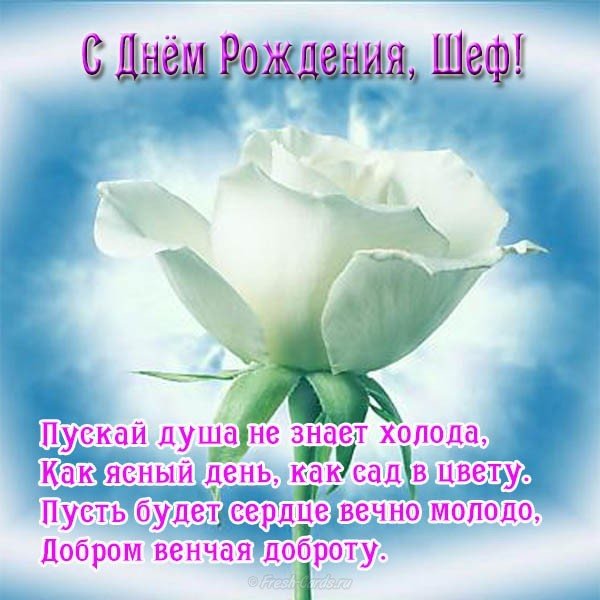 Картинки С днём рождения начальника. Картинки с днем рождения начальнику мужч...