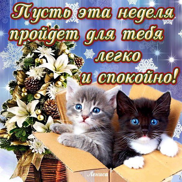 Удачной недели анимация. картинки хорошей рабочей недели. Картинки со стихами...