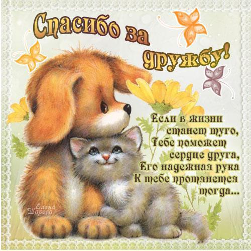 Открытки о дружбе и любви. Открытки о дружбе скачать. Открытки о дружбе прико...