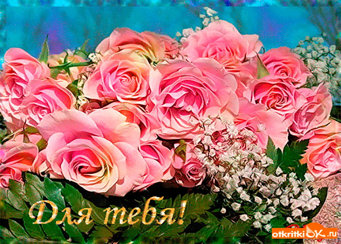 Красивые картинки с розовыми розами. Картинка с розовыми розами.