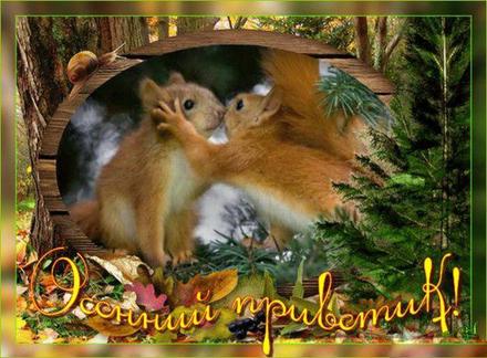 Картинка осенний Привет. Картинка осенний Приветик. открытка с приветствиями.