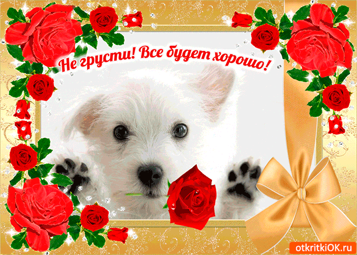 Картинка девушки не грусти. Картинка Не грусти всё будет хорошо.