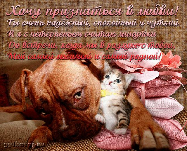 Картинки про любовь со стихами скачать. Картинки про любовь скачать.