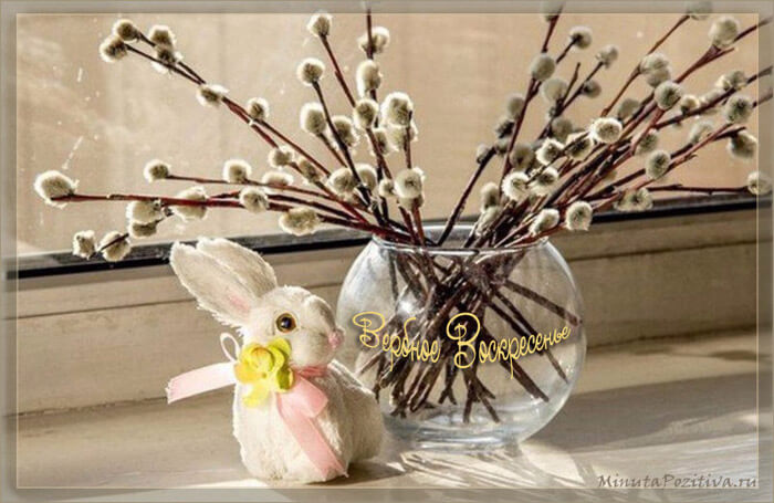 Открытка Вербное ветками зацвела весна на, озорными детками вся звенит она!