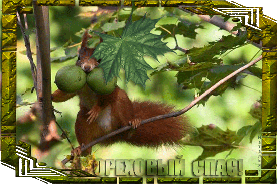 Открытка Спас ореховый встречаем пирогами! Открытка с ореховым Спасом!